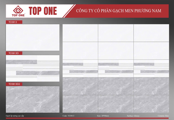 Gạch 30x60