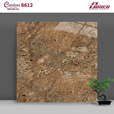 Gạch 60x60